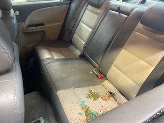 2009 Mercury Sable Premier - Interior Rear Seat Image